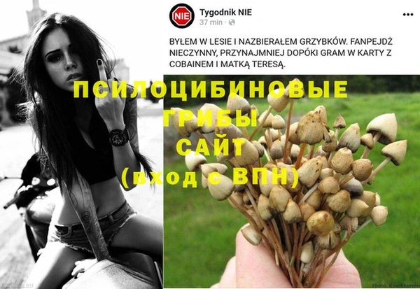 винт Арсеньев